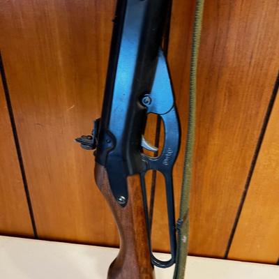 BeeBee GUN Daisy Model 99 