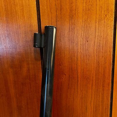 BeeBee GUN Daisy Model 99 