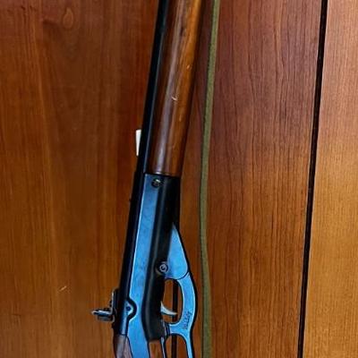 BeeBee GUN Daisy Model 99 