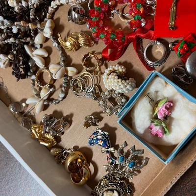 Costume Jewelry; Beads, Shells, Apple Seeds and earrings. 