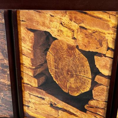 Framed Photo Set Indian Ruins