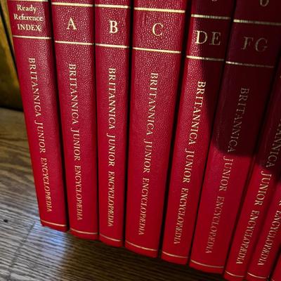 15 Volume Set of the Britannica JUNIOR SET with RACK!! 