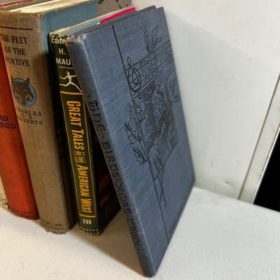 Vintage and Antique Books, Mostly Novels 