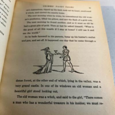 Grimms Fairy Tales Illustrated 