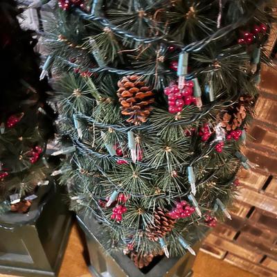 Pair of Topiary's for Xmas DÃ©cor with Lights 