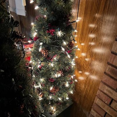 Pair of Topiary's for Xmas DÃ©cor with Lights 