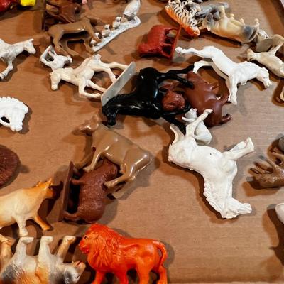 Farm Animals: Pigs, Sheep, Ducks and many more!