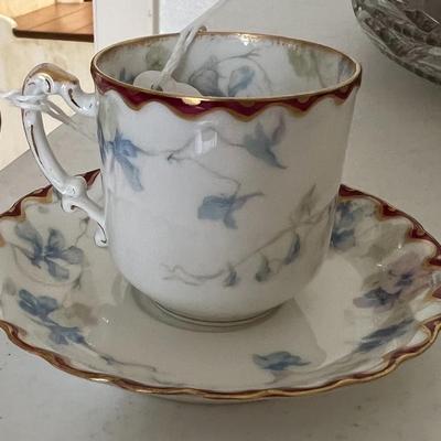 Haviland & Co. Limoges Burbank Douglass & Co. France Teacup & Saucer