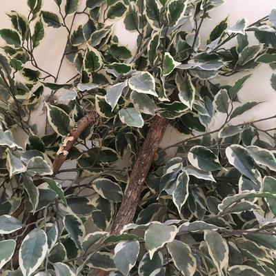 Fabric tree in plastic pot.