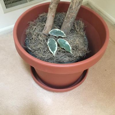 Fabric tree in plastic pot.
