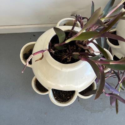 Pair of Strawberry Plant Pots (G-MG)
