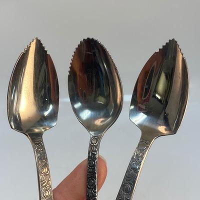 Set of 3 Vintage Retro Grapefruit Spoons Japan