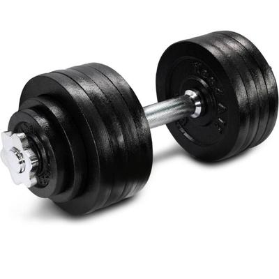 1920 Cast Iron Dumbbell Total Weight 52.5lbs Brand â€œYes4Allâ€ New In-Box