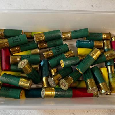 12 and 20 Gauge Shot Gun Shell