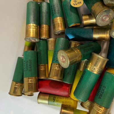 12 and 20 Gauge Shot Gun Shell