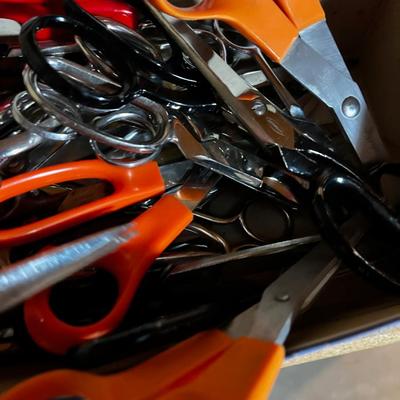 Life Time Supply of Scissors 