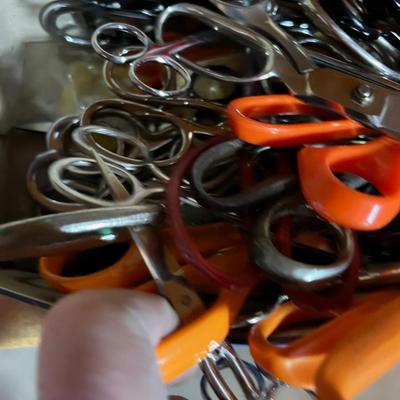 Life Time Supply of Scissors 