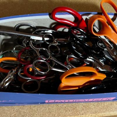 Life Time Supply of Scissors 