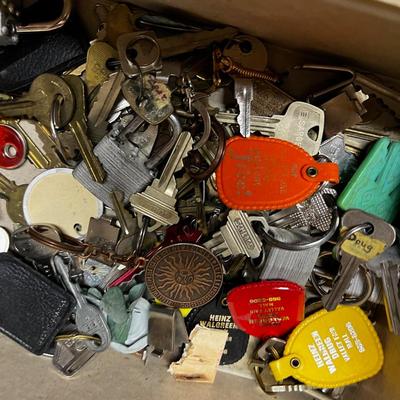 Old Keys,  Pad Lock and Combo locks. 