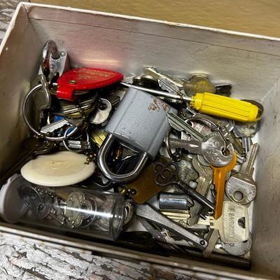 Old Keys,  Pad Lock and Combo locks. 