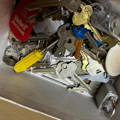 Old Keys,  Pad Lock and Combo locks. 