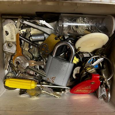 Old Keys,  Pad Lock and Combo locks. 
