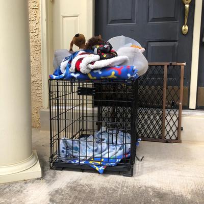 LOT 94M: Puppy Starter Kit: Crate, Toys, Bed, MyBusyDog Booties & More