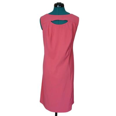 Pink DressBarn Dress 16