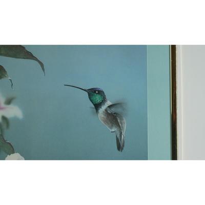 Hummingbird and Flowers Print by Paul J. Lopez
