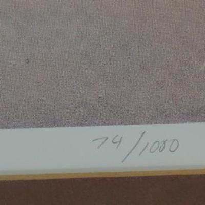 "Array of Light" Limited Edition Watercolor Print by Preston Steed