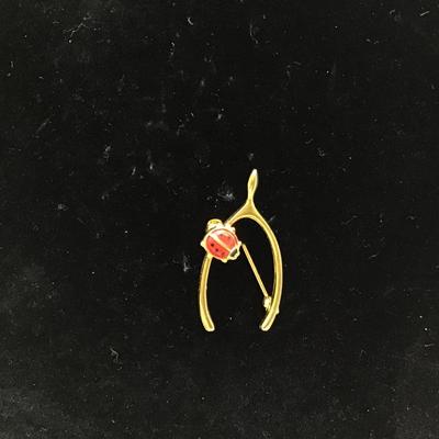 Ladybug ðŸž Pin