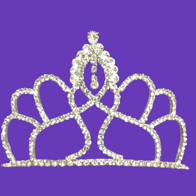 Authentic Beauty Pageant Sash & Crown #1