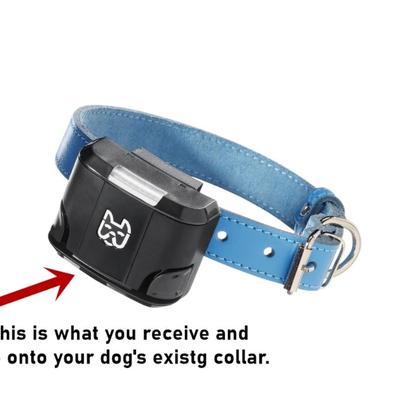 Wagz Freedom Smart Dog Collar
