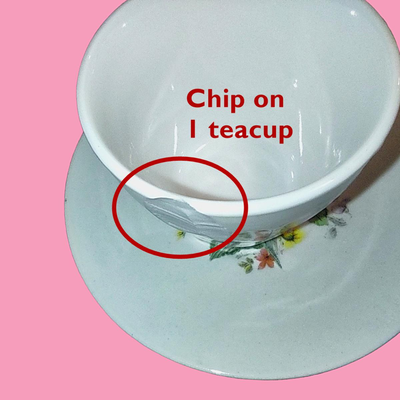 Vintage Porcelain Miniature WIldflower Tea Set