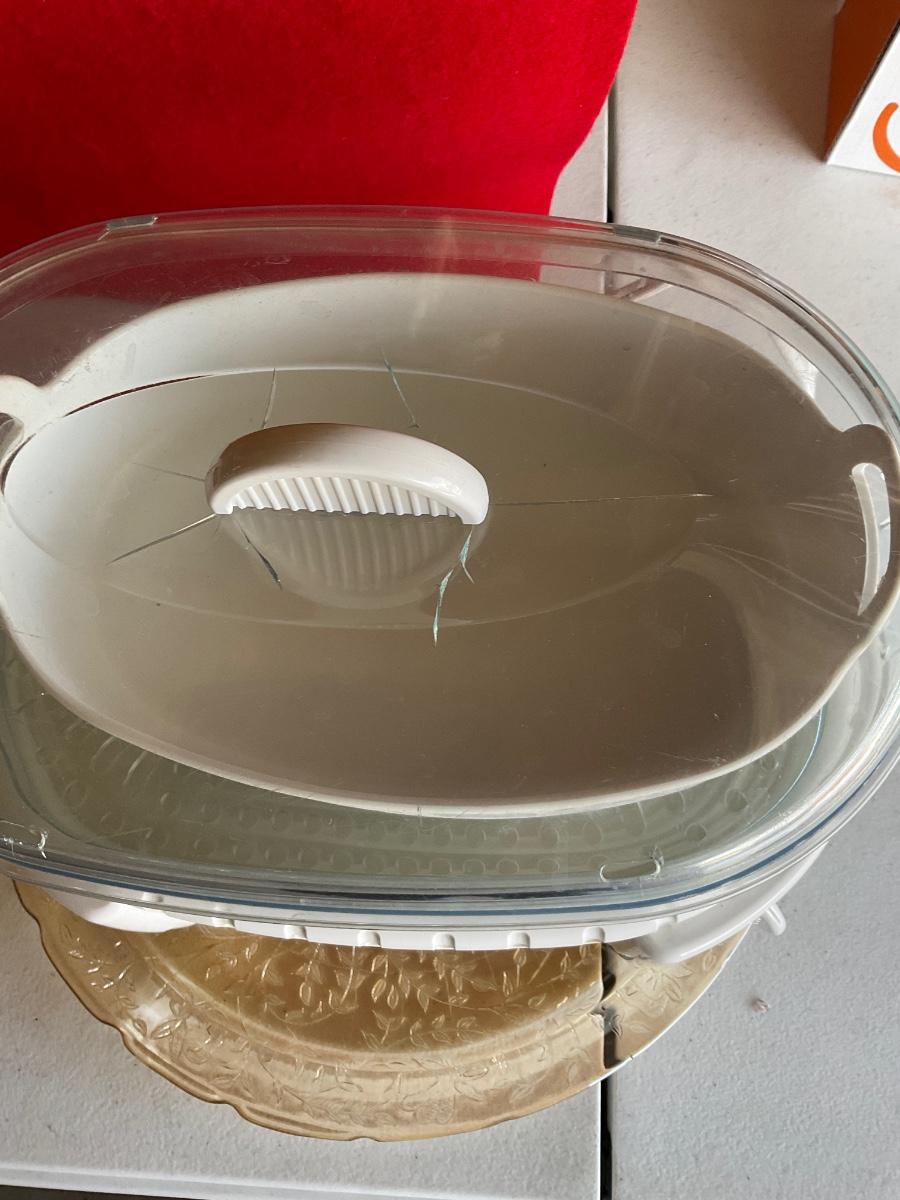 Sunbeam Oster Instant Steamer with serving plate.