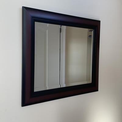 Mirror & Shelf with Hooks (LR-HS)