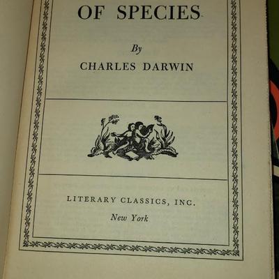 Two Shelves Literary Classics Book Set