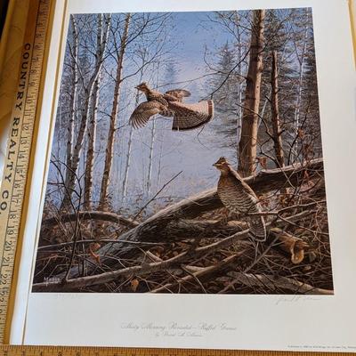 Misty Morning Revisited-Wood Ducks, David Maass, 374/1200