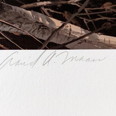 Misty Morning Revisited-Wood Ducks, David Maass, 374/1200