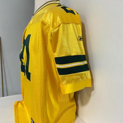 -234- SPORTS | NFL Green Bay Packers Jersey Size 50  | #21 Charles Woodson