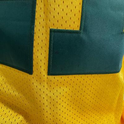 -234- SPORTS | NFL Green Bay Packers Jersey Size 50  | #21 Charles Woodson