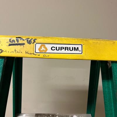 Cuprum Six Foot Fiberglass Step ladder & Cosco Footstool (G-MG)