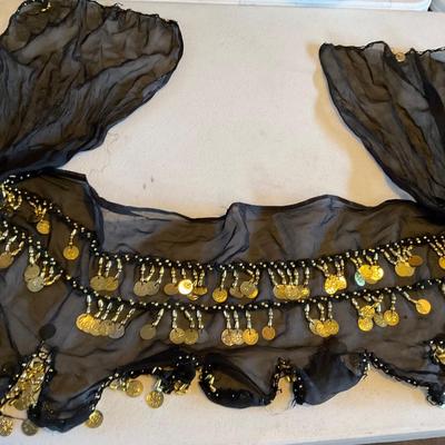 Vintage Belly Dancing Hip scarf.