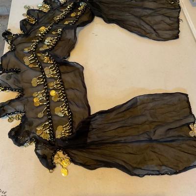 Vintage Belly Dancing Hip scarf.