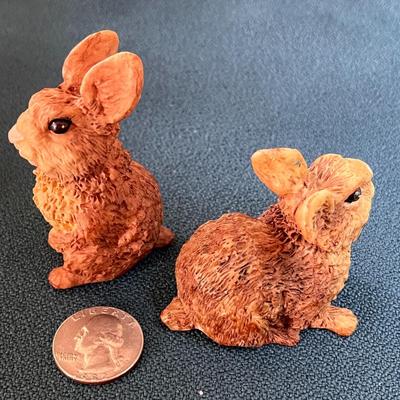 CUTE COMPOSITE BUNNY RABBITS PAIR