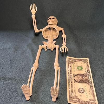 15â€ JOINTED SKELETON