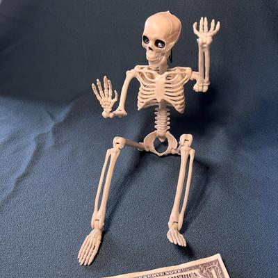 15â€ JOINTED SKELETON