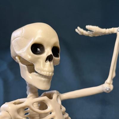 15â€ JOINTED SKELETON