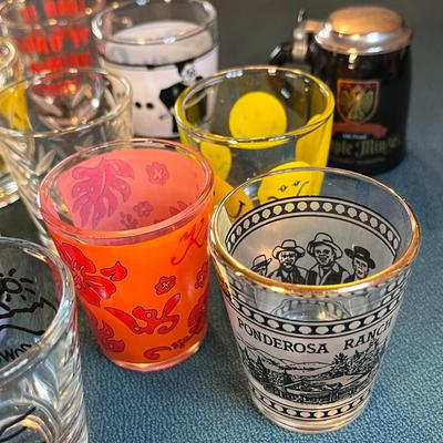 SHOT GLASS COLLECTION 17 PC.
