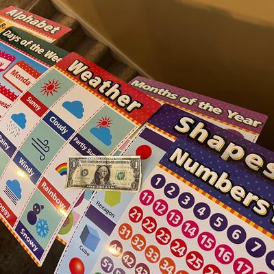 SET OF 12 ELEMENTARY CLASSROOM CHARTS 